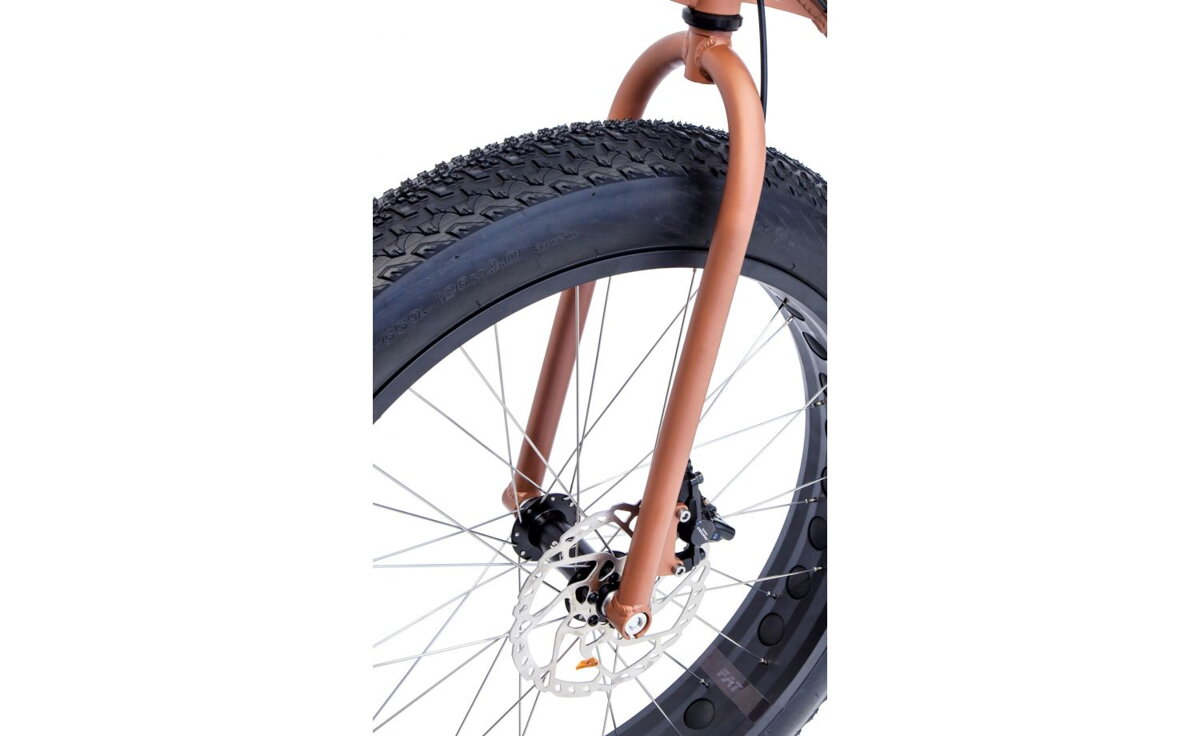 Polaris wooly bully fat tire bike hotsell