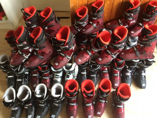 Demo Sled Dogs sale 