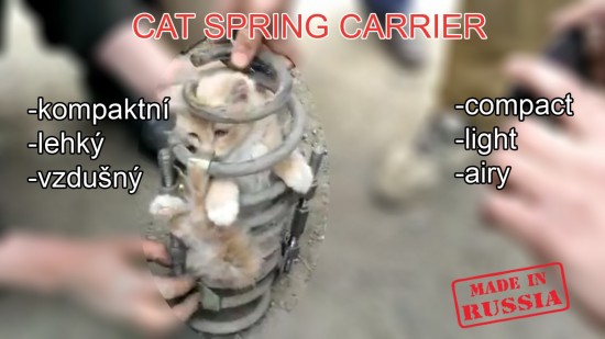 Cat spring carrier